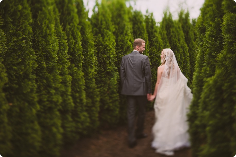 Summerhill-Winery-wedding_Okanagan-Lavender-Farm-first-look_Kelowna_68_by-Kevin-Trowbridge-photography_Kelowna