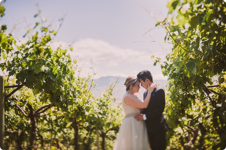 The-Cove-resort-wedding_Kelowna-lake-vineyard-portraits_93_by-Kevin-Trowbridge-photography_Kelowna