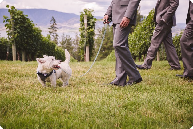 Cedar-Creek-wedding_Hotel-Eldorado-lake-portraits_141146_by-Kevin-Trowbridge