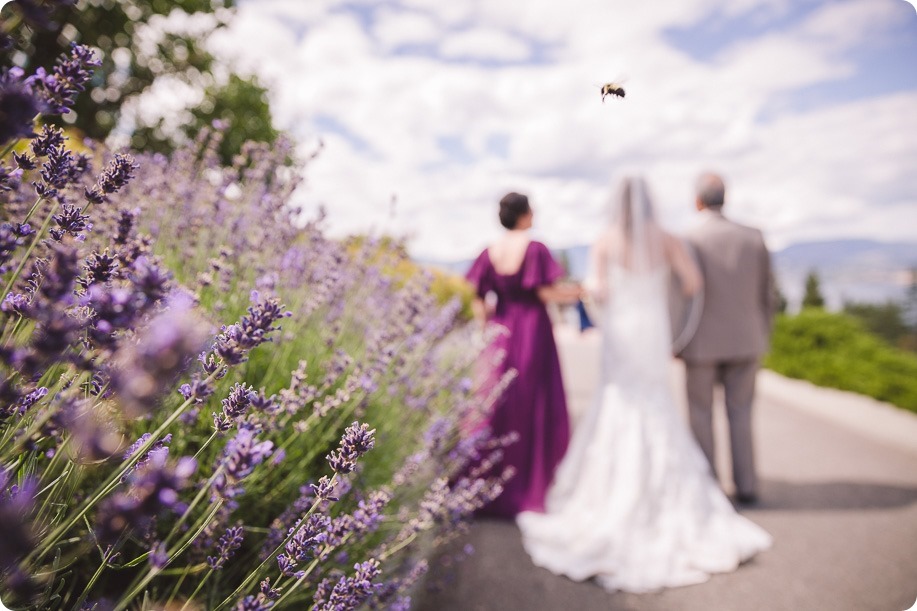 Cedar-Creek-wedding_Hotel-Eldorado-lake-portraits_150622_by-Kevin-Trowbridge