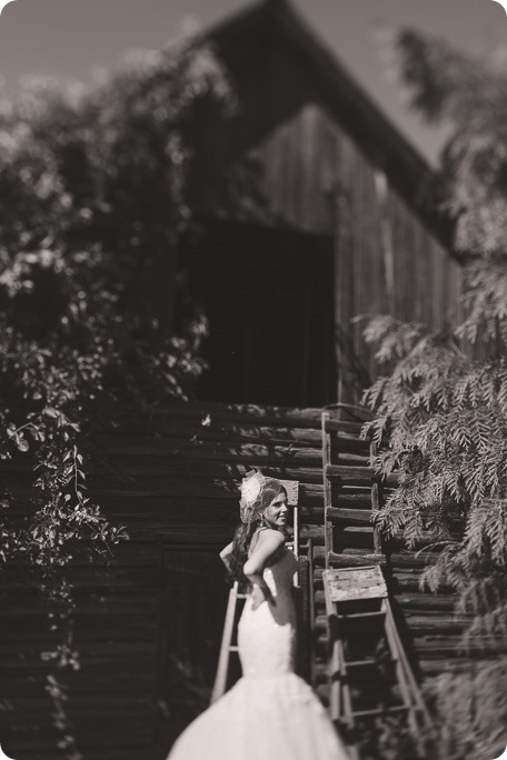 Enderby-wedding_orchard-bridge-sparklers_Okanagan_154835_by-Kevin-Trowbridge-2