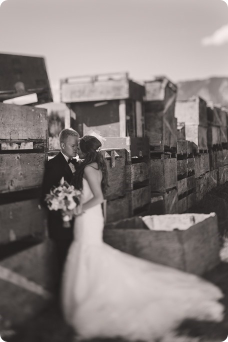 Enderby-wedding_orchard-bridge-sparklers_Okanagan_161643_by-Kevin-Trowbridge-2