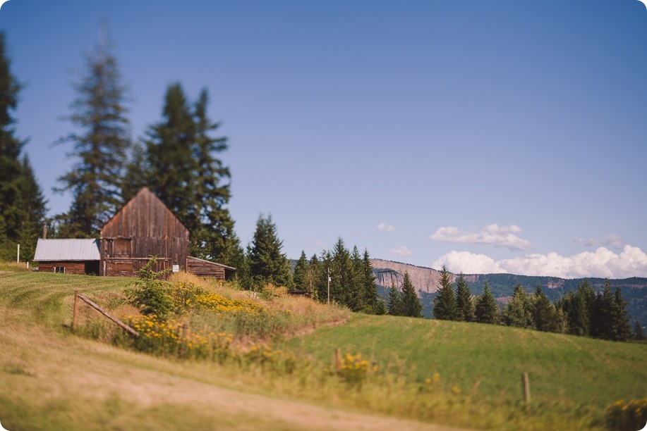 Enderby-wedding_orchard-bridge-sparklers_Okanagan_165508_by-Kevin-Trowbridge