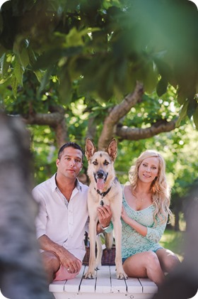 Kelowna-wedding-photographer_Cherry-orchard-engagement_dog-sunset-champagne_184814_by-Kevin-Trowbridge