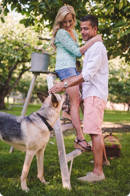 Kelowna-wedding-photographer_Cherry-orchard-engagement_dog-sunset-champagne_190812_by-Kevin-Trowbridge