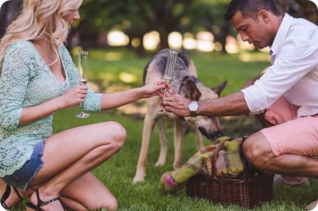 Kelowna-wedding-photographer_Cherry-orchard-engagement_dog-sunset-champagne_191457_by-Kevin-Trowbridge