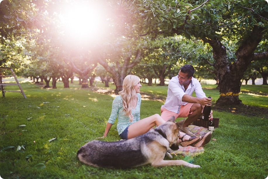 Kelowna-wedding-photographer_Cherry-orchard-engagement_dog-sunset-champagne_192405_by-Kevin-Trowbridge