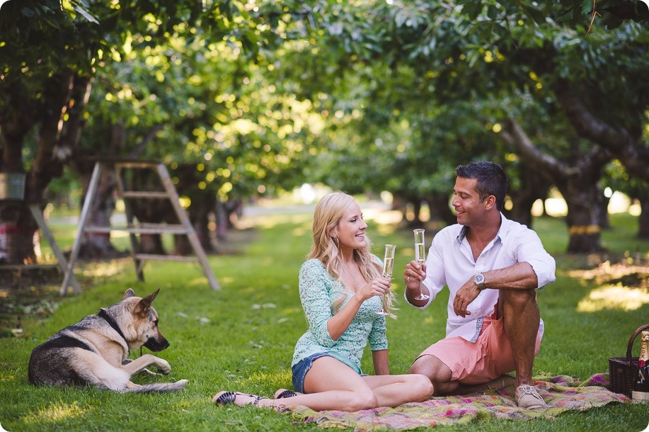 Kelowna-wedding-photographer_Cherry-orchard-engagement_dog-sunset-champagne_192642_by-Kevin-Trowbridge