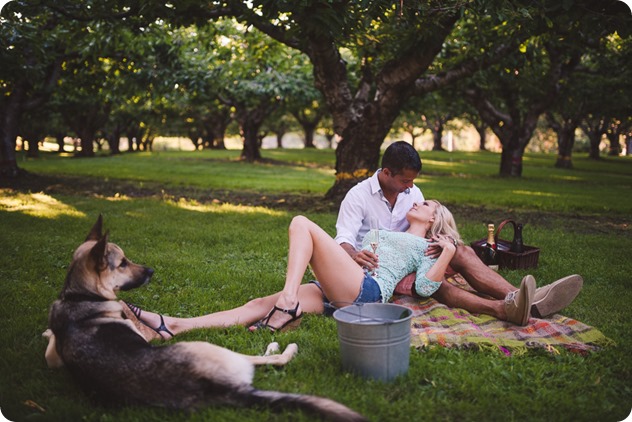 Kelowna-wedding-photographer_Cherry-orchard-engagement_dog-sunset-champagne_193513_by-Kevin-Trowbridge