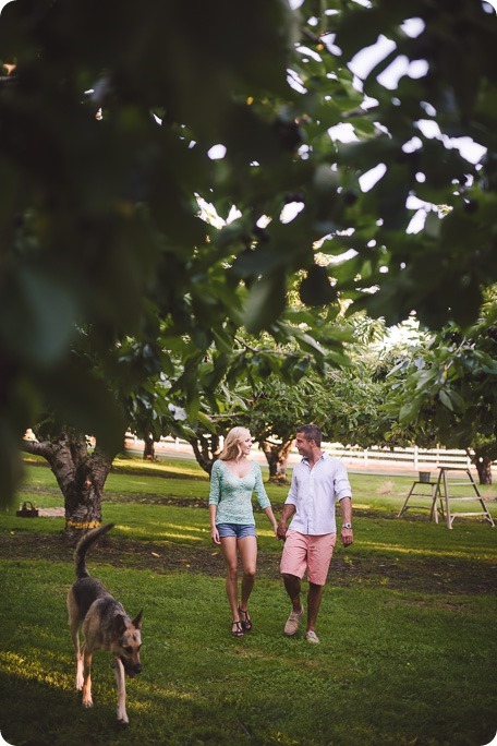 Kelowna-wedding-photographer_Cherry-orchard-engagement_dog-sunset-champagne_194233_by-Kevin-Trowbridge