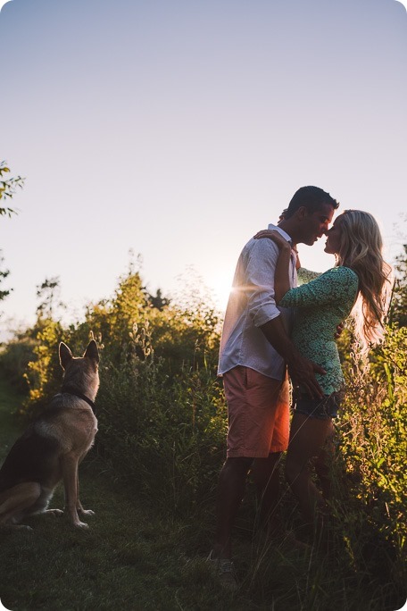 Kelowna-wedding-photographer_Cherry-orchard-engagement_dog-sunset-champagne_195529_by-Kevin-Trowbridge