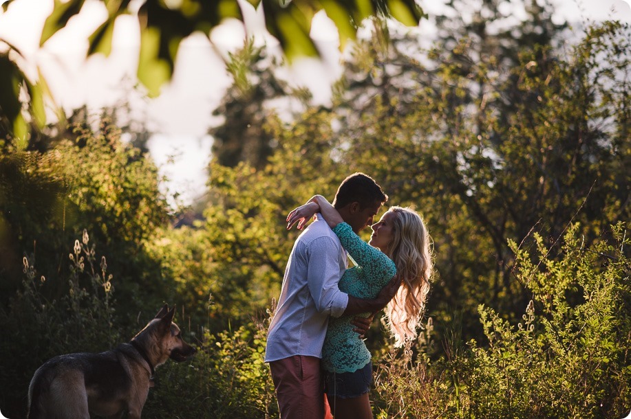 Kelowna-wedding-photographer_Cherry-orchard-engagement_dog-sunset-champagne_195555_by-Kevin-Trowbridge