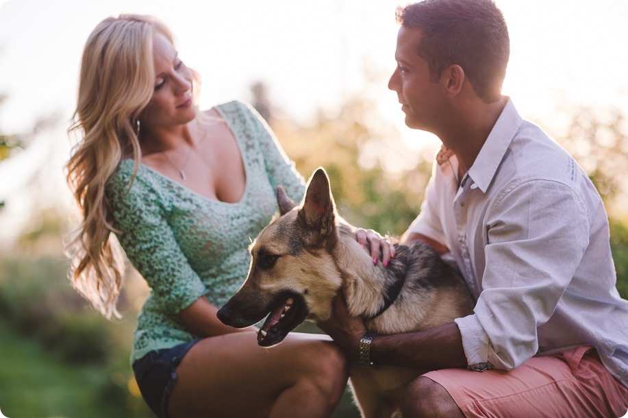 Kelowna-wedding-photographer_Cherry-orchard-engagement_dog-sunset-champagne_195836_by-Kevin-Trowbridge