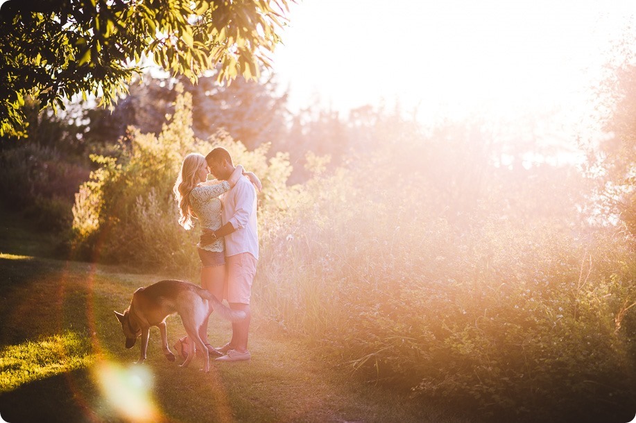 Kelowna-wedding-photographer_Cherry-orchard-engagement_dog-sunset-champagne_200802_by-Kevin-Trowbridge