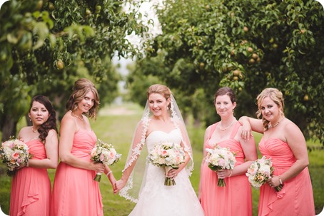 Harvest-Golf-Club-wedding_orchard-classic-car_Kelowna-photographer__163815_by-Kevin-Trowbridge