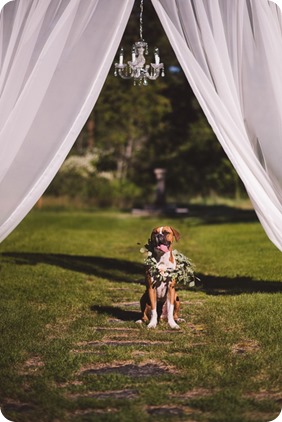 Fintry-Estate-wedding_manor-park-lakeside__by-Kevin-Trowbridge-photography_Okanagan-12