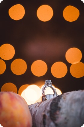 Vernon-Barn-wedding_Silver-Sage-Stables_vintage-decor_Kalamalka-lake-farm_Okanagan-photographer__by-Kevin-Trowbridge-photography_Kelowna_203635