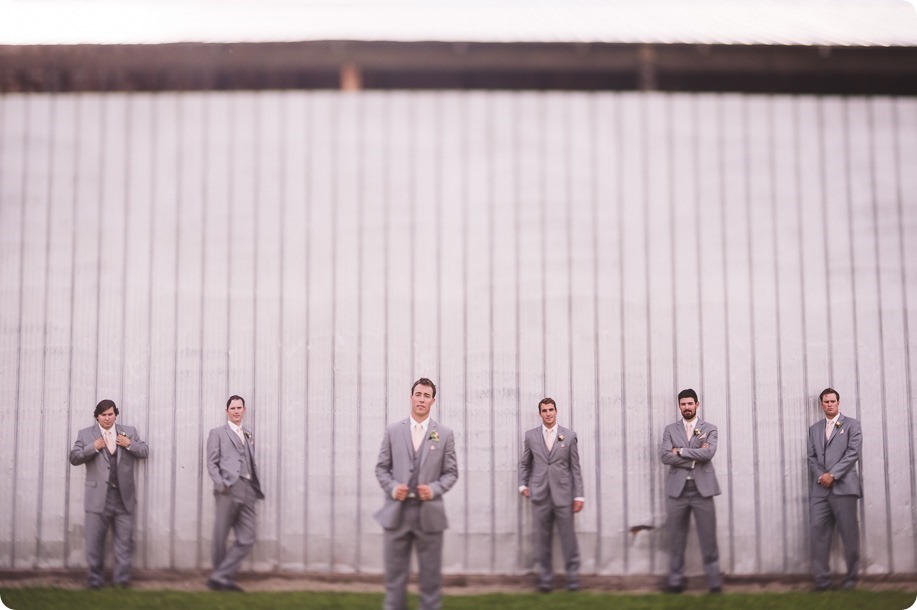 Vernon-Barn-wedding_Silver-Sage-Stables_vintage-decor_Kalamalka-lake-farm_Okanagan-photographer__by-Kevin-Trowbridge-photography_Kelowna_163449