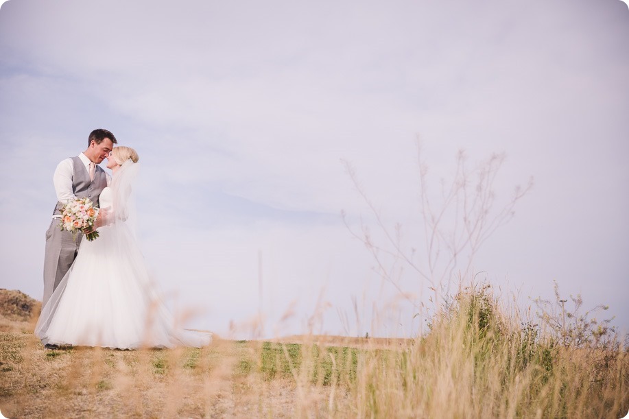 Vernon-Barn-wedding_Silver-Sage-Stables_vintage-decor_Kalamalka-lake-farm_Okanagan-photographer__by-Kevin-Trowbridge-photography_Kelowna_174556