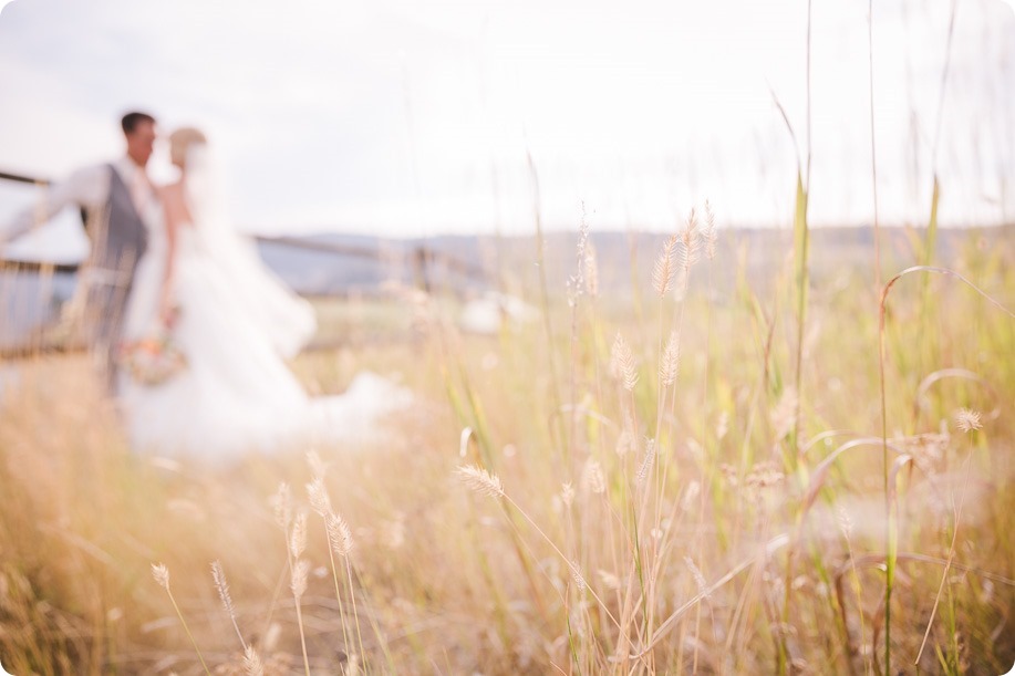 Vernon-Barn-wedding_Silver-Sage-Stables_vintage-decor_Kalamalka-lake-farm_Okanagan-photographer__by-Kevin-Trowbridge-photography_Kelowna_174904