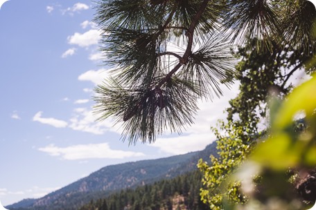 Kelowna-wedding_Lake-Okanagan-Resort_best-wedding-photographer__by-Kevin-Trowbridge-photography_Kelowna_132445