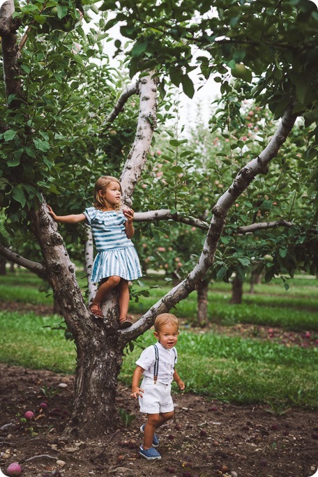 Kelowna-family-portraits_apple-orchard-rustic_Okanagan-photographer__by-Kevin-Trowbridge-photography_Kelowna_183704