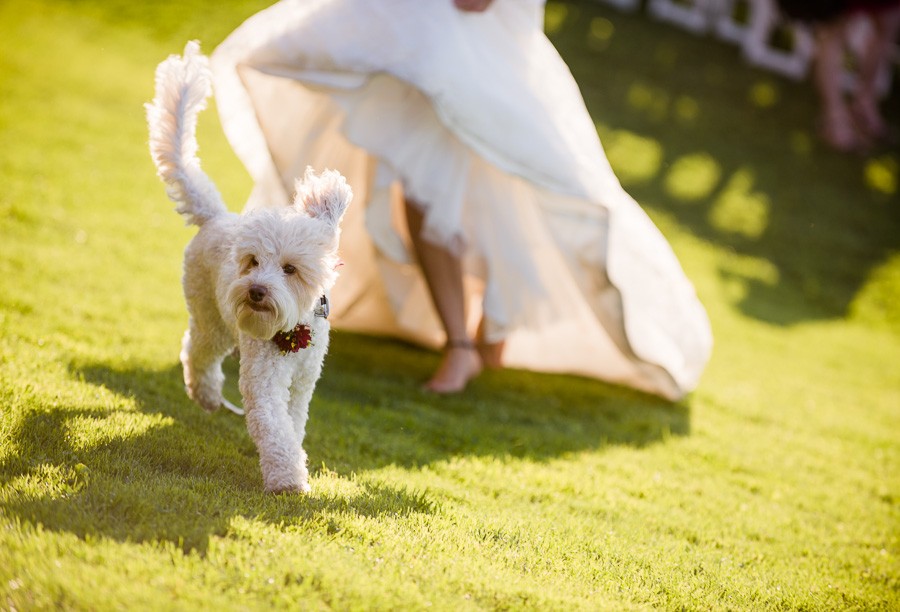A Country Chic Autumn Wedding at Summerhill Winery in Kelowna, BC