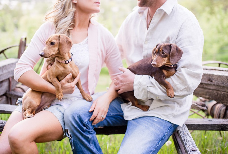 Springtime in the Country: Rustic Farm Engagement Session at Claremont Ranch Organics in Lake Country,