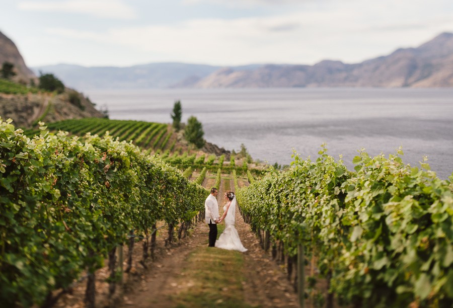 Joyous Vineyard Wedding at Bonitas Winery in Summerland, BC