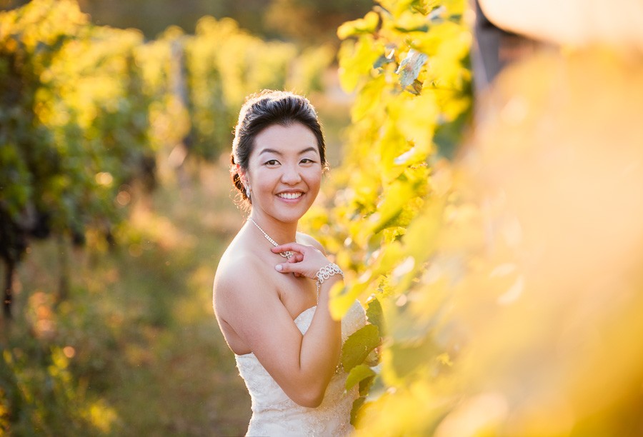 Golden September Vineyard Wedding at Summerhill Winery in Kelowna, BC